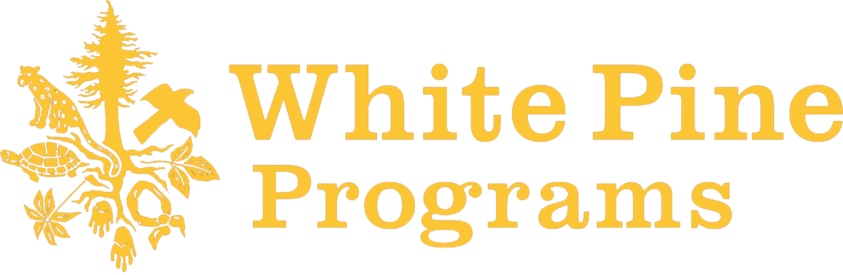 WPP%20logo%20golden%20crisp%20sm.png
